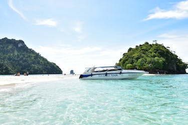 4-eilanden speedboottocht vanuit Krabi met lunch